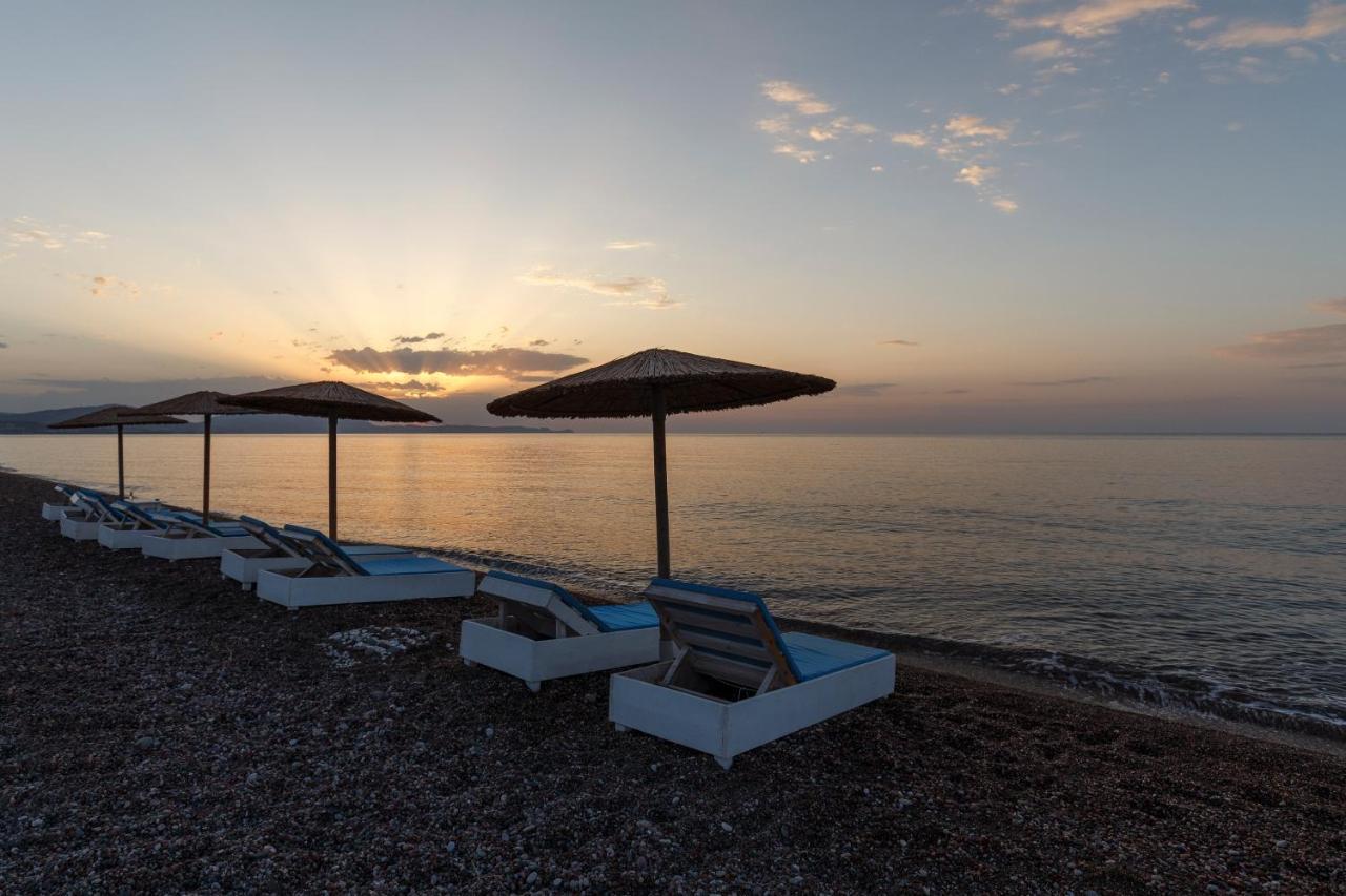 Eco And Magic Garden Hotel