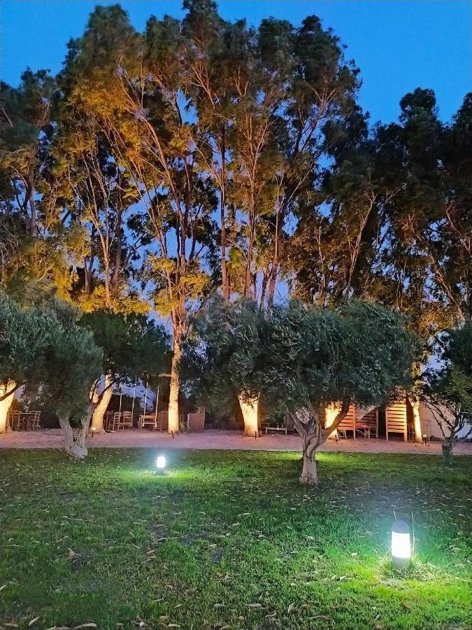 Eco And Magic Garden 3*